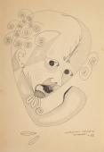 Cardona Torrandell, 'Sense títol' 1955 llapis sobre paper 32 x 22 cm